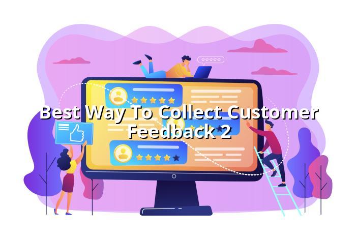 Customer feedback collection and Google reviews — BizGo