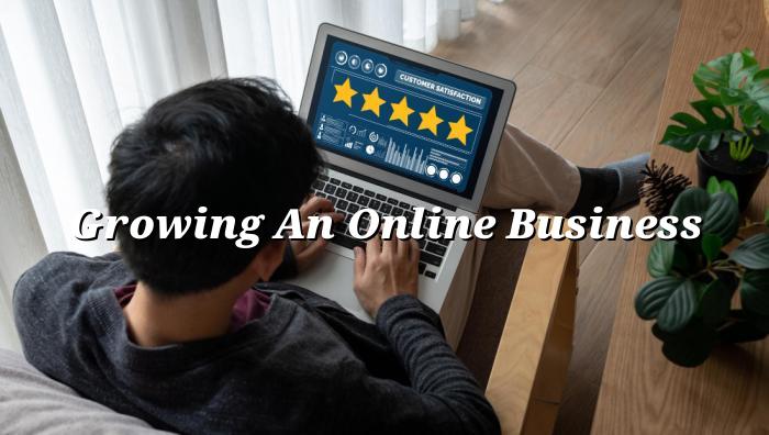 growing an online business — BizGo